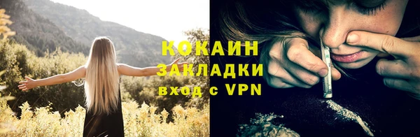 шишки Баксан