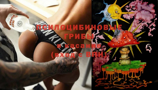 шишки Баксан