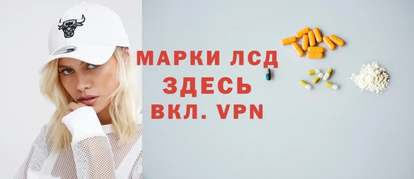 шишки Баксан