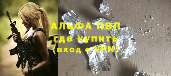 дживик Снежногорск