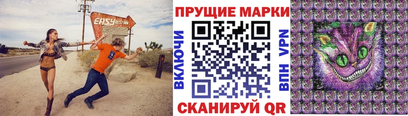 где продают   Вичуга  blacksprut вход  Марки 25I-NBOMe 1,8мг 