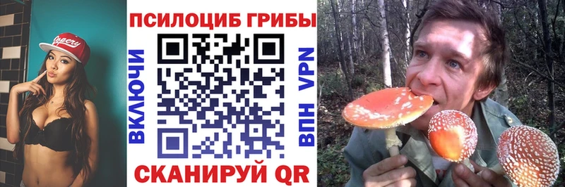 Галлюциногенные грибы Cubensis закладка Вичуга